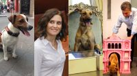Marketing mascota. El perro Picas de la ex presidenta de Madrid, su sucesora: Ayuso, y el perro del PRO.