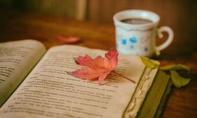 Lectura