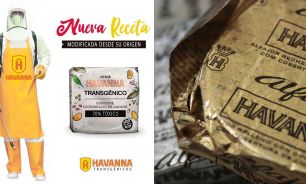 havanna 20210517