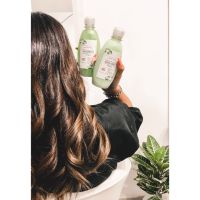 Emprende con Jazmín Miranda