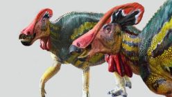 0518_dinosaurio