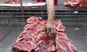 meat stock carne para todos