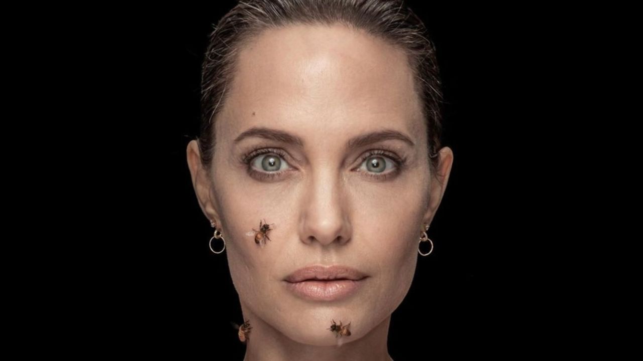 angelina-jolie-1176049