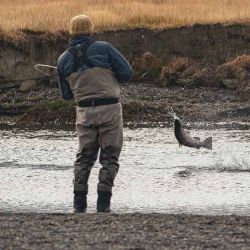 Trabajando bien la caña y los ángulos, se puede dar batalla a estos peces y reducir los tiempos de pelea. 