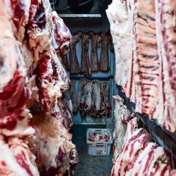 Exportación de carne | Foto:Cedoc