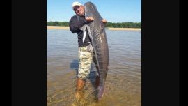 Vale recordar que en la provincia de Corrientes la pesca de la especie estaba permitida.