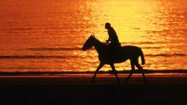 Es evidente que somos amigos, y desde que lo sabemos, guardamos mutuo respeto.