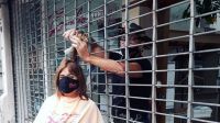 Peluquerias durante las restricciones 
