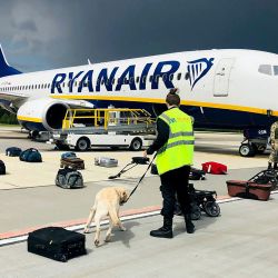 Un adiestrador de perros bielorruso revisa el equipaje de un Ryanair Boeing 737-8AS estacionado en la plataforma del Aeropuerto Internacional de Minsk en Minsk. | Foto:ONLINER.BY / AFP