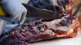 El gobierno suspendió la exportación de carne