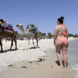 Turistas miran camellos en la playa en la localidad mediterránea tunecina de Susa. - Con su economía duramente afectada por la pandemia, Túnez cuenta con rusos y europeos del este para salvar su sector turístico cuyos empleados temen al hambre más que a COVID -19. | Foto:Fethi Belaid / AFP