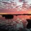 2905_pique_pesca