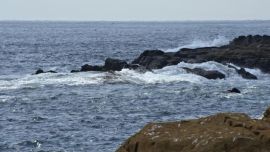 El hallazgo tuvo lugar, en el océano Pacífico, a la altura de Chile.