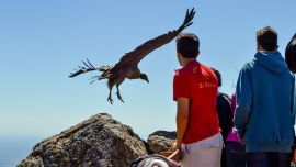 Quebrada de los Cóndores, departamento de A. V. Peñaloza, La Rioja.