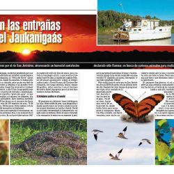 Para aquellos con espíritu más aventurero, los invitamos a unirse a una travesía en embarcaciones por el río San Jerónimo.