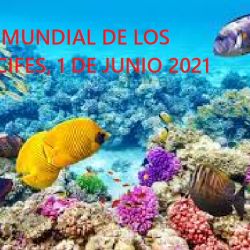 El planeta podría perder los arrecifes de coral vivos en el mundo para el año 2050. 