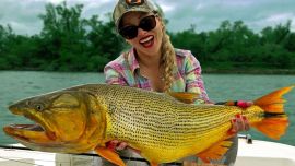 Estos maravillosos tesoros se presentan a quienes saben cómo, dónde y cuándo buscarlos.