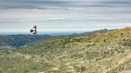 Ongamira está ubicada a 25 kilómetros de Capilla del Monte, en Córdoba.
