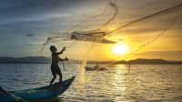 Por qué hoy es el Día Internacional de la Lucha contra la Pesca Ilegal, No Declarada y No Reglamentada