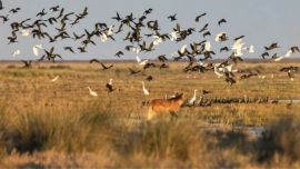 La inscripción para las becas ya está abierta.