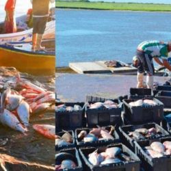 “Salvemos el Paraná” busca dar cumplimiento al fallo que reza que “en épocas de veda, no puede haber ni permitirse ningún tipo de pesca, ni deportiva ni comercial”.