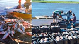 “Salvemos el Paraná” busca dar cumplimiento al fallo que reza que “en épocas de veda, no puede haber ni permitirse ningún tipo de pesca, ni deportiva ni comercial”.