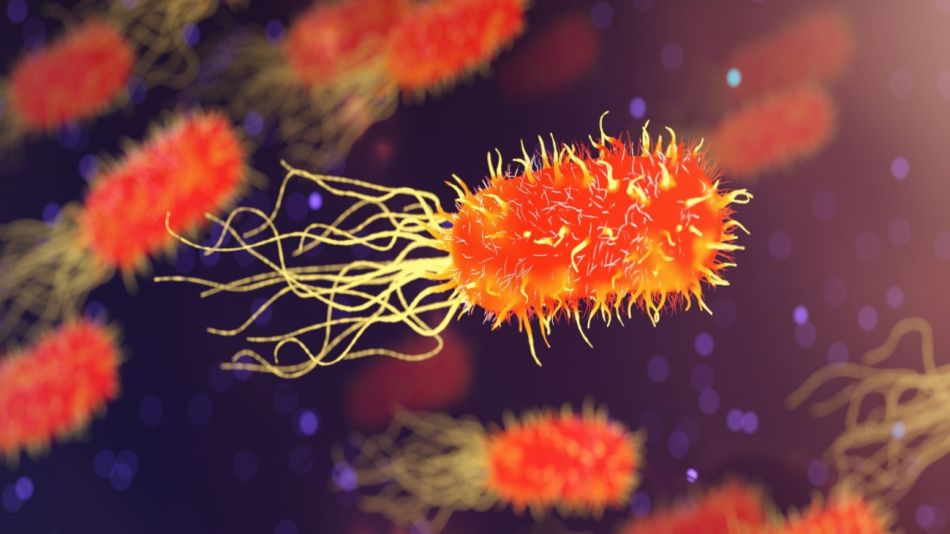 Superbacterias Turistas