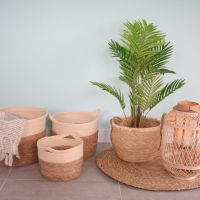 Bromelia Design