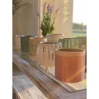 Bromelia Design