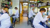 Ciencia. La vacuna de segunda generación está en la etapa de ensayos clínicos.