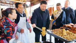 20210613_xi_jinping_cedoc_g