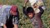 trabajo infantil 20210617