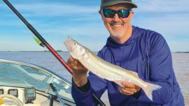 Con aguas turbias suelen dar buenos resultados las brazoladas cortas. Los primeros pejerreyes en remontar son de buen tamaño: los famosos Gran Paraná.