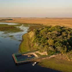 Nanay ya se encuentra alojada en la Isla San Alonso del Parque Nacional Iberá, Corrientes. 