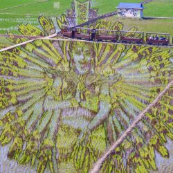 Esta foto aérea muestra una imagen de una deidad, creada por el cultivo de diferentes variedades de arroz, en un arrozal en Shenyang, provincia nororiental china de Liaoning. | Foto:STR / AFP