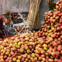 Un vendedor salpica agua sobre los lichis mientras espera a los clientes en Amritsa. | Foto:Narinder Nanu / AFP