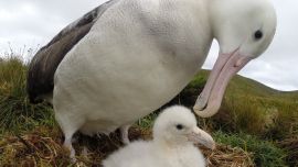 La fecha fue instaurada en 2020.