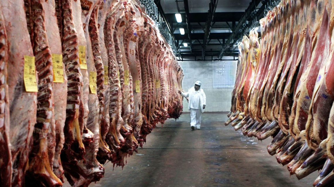 Beef carcasses at a slaughterhouse.