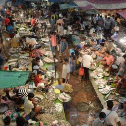 La gente compra en un mercado de pescado en Calcuta después de que el gobierno del estado de Bengala Occidental aliviara las restricciones de cierre para frenar la propagación del coronavirus Covid-19. | Foto:Mainak Bagchi / AFP