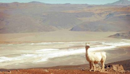 Catamarca: puntos claves para un viaje inolvidable