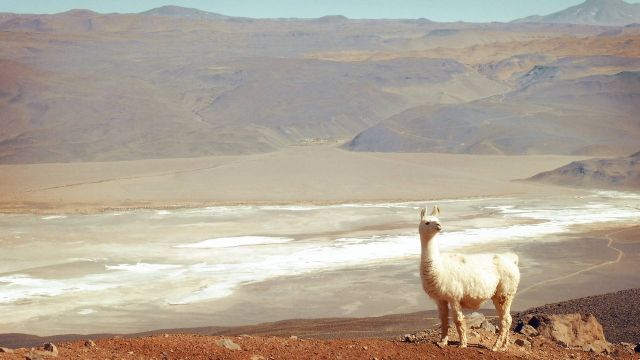 Catamarca: puntos claves para un viaje inolvidable