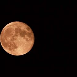 La Superluna podrá verse en su máximo esplendor entre las 16 y las 16:20 horas de la Argentina. 
