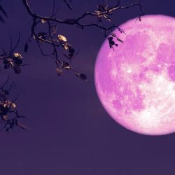 La Superluna podrá verse en su máximo esplendor entre las 16 y las 16:20 horas de la Argentina. 