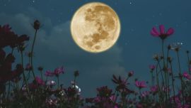 Es la primera Luna Llena de la temporada de invierno y la última Superluna del año-