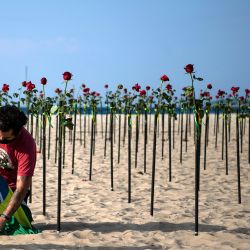 Un manifestante asegura una bandera brasileña junto a las rosas colocadas por la ONG Río de Paz en la playa de Copacabana, Río de Janeiro, en memoria del medio millón de víctimas del COVID-19 en Brasil. | Foto:Carl De Souza / AFP