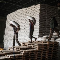 Trabajadores transportan sacos de trigo para una distribución de alimentos para 4503 personas, que huyeron de la violencia en la región etíope de Tigray, organizada por la ONG local Relief Society of Tigray en Mekele. | Foto:Yasuyoshi Chiba / AFP