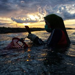 Esta foto muestra a un aldeano recogiendo ostras en la desembocadura de un río junto a la costa en Lhokseumawe, provincia indonesia de Aceh. | Foto:Azwar Ipank / AFP