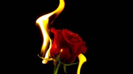 Tiempo de alimentar el deseo