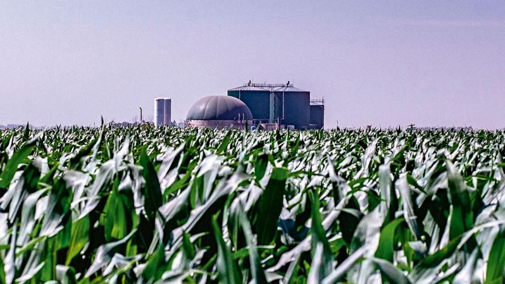 Biocombustible: una millonaria industria del campo