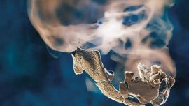 Los restos del cráneo de color pardo fueron encontrados en el el interior del yacimiento Nesher Ramla, en Israel.